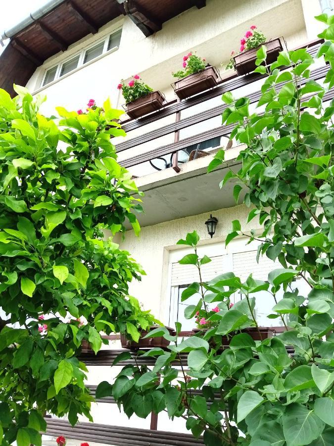 Apartman Kod Dide I Bake Vukovar Extérieur photo